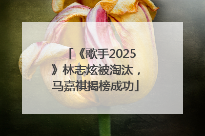 《歌手2025》林志炫被淘汰，马嘉祺揭榜成功