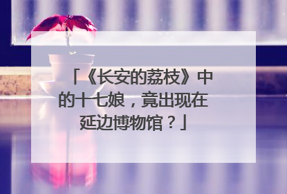 《长安的荔枝》中的十七娘，竟出现在延边博物馆？
