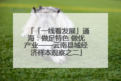 「一线看发展」通海：做足特色 做优产业——云南县域经济样本观察之二