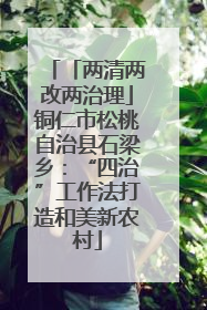 「两清两改两治理」铜仁市松桃自治县石梁乡：“四治”工作法打造和美新农村