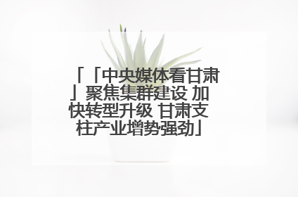 「中央媒体看甘肃」聚焦集群建设 加快转型升级 甘肃支柱产业增势强劲
