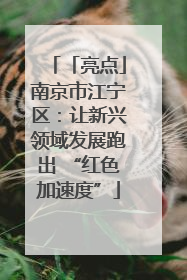 「亮点」南京市江宁区：让新兴领域发展跑出 “红色加速度”