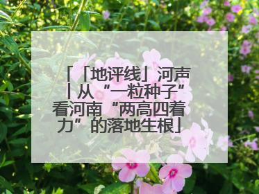 「地评线」河声丨从“一粒种子”看河南“两高四着力”的落地生根