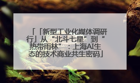 「新型工业化媒体调研行」从“北斗七星”到“热带雨林”：上海AI生态的技术商业共生密码