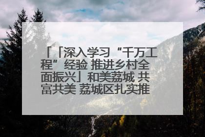 「深入学习“千万工程”经验 推进乡村全面振兴」和美荔城 共富共美 荔城区扎实推进乡村振兴工作