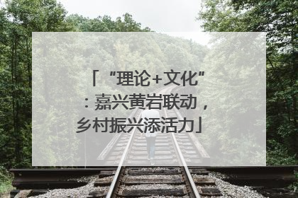 “理论+文化”：嘉兴黄岩联动，乡村振兴添活力