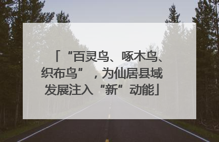 “百灵鸟、啄木鸟、织布鸟”，为仙居县域发展注入“新”动能
