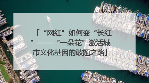 “网红”如何变“长红”——“一朵花”激活城市文化基因的破题之路