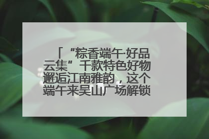 “粽香端午·好品云集”千款特色好物邂逅江南雅韵，这个端午来吴山广场解锁“浙里烟火气”