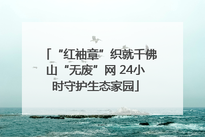“红袖章”织就千佛山“无废”网 24小时守护生态家园
