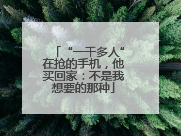 “一千多人”在抢的手机，他买回家：不是我想要的那种