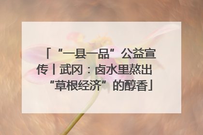 “一县一品”公益宣传丨武冈：卤水里熬出“草根经济”的醇香