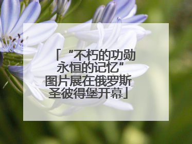 “不朽的功勋 永恒的记忆”图片展在俄罗斯圣彼得堡开幕