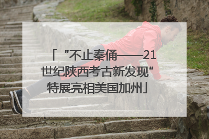 “不止秦俑——21世纪陕西考古新发现”特展亮相美国加州