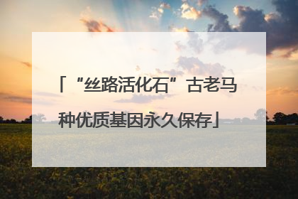 “丝路活化石”古老马种优质基因永久保存