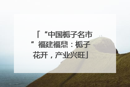 “中国栀子名市”福建福鼎：栀子花开，产业兴旺