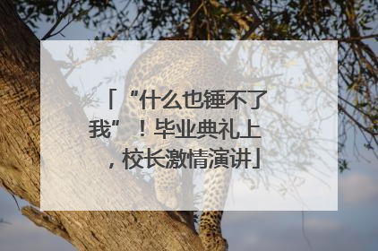 “什么也锤不了我”！毕业典礼上，校长激情演讲