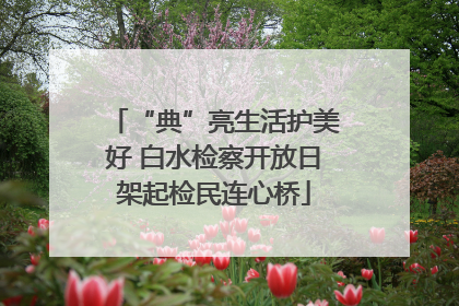 “典”亮生活护美好 白水检察开放日架起检民连心桥