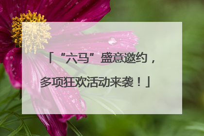 “六马”盛意邀约，多项狂欢活动来袭！