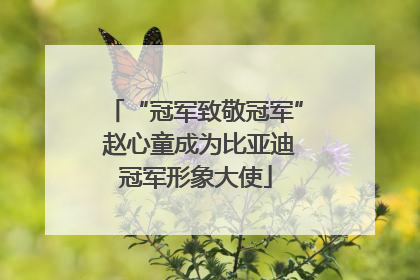 “冠军致敬冠军” 赵心童成为比亚迪冠军形象大使
