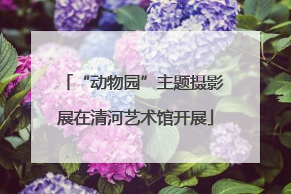 “动物园”主题摄影展在清河艺术馆开展