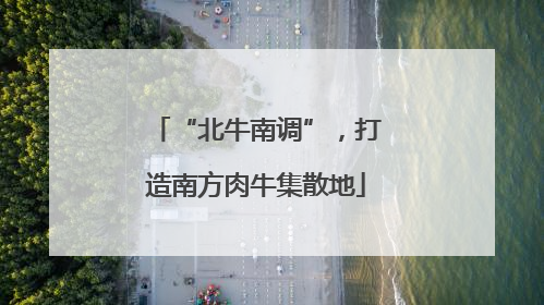 “北牛南调”，打造南方肉牛集散地