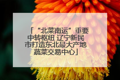 “北菜南运”重要中转枢纽 辽宁新民市打造东北最大产地蔬菜交易中心