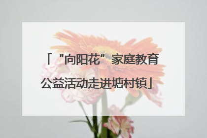 “向阳花”家庭教育公益活动走进塘村镇