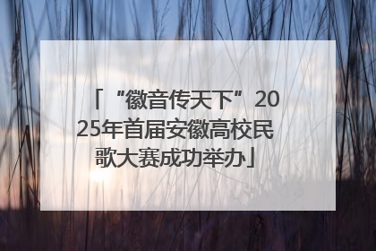 “徽音传天下”2025年首届安徽高校民歌大赛成功举办
