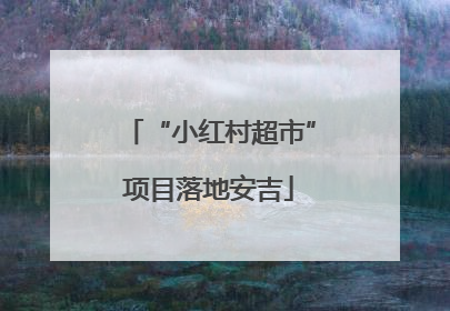 “小红村超市”项目落地安吉