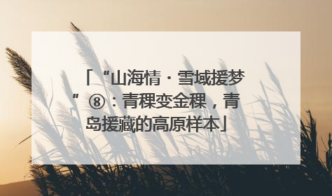 “山海情・雪域援梦”⑧：青稞变金稞，青岛援藏的高原样本