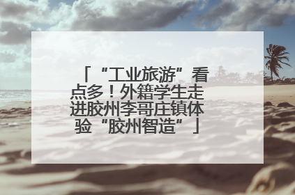 “工业旅游”看点多！外籍学生走进胶州李哥庄镇体验“胶州智造”