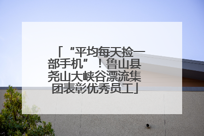 “平均每天捡一部手机”！鲁山县尧山大峡谷漂流集团表彰优秀员工