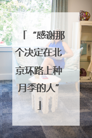 “感谢那个决定在北京环路上种月季的人”