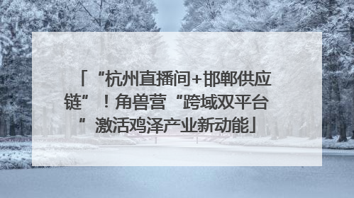 “杭州直播间+邯郸供应链”！角兽营“跨域双平台”激活鸡泽产业新动能