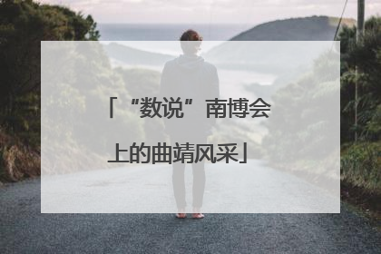 “数说”南博会上的曲靖风采