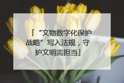 “文物数字化保护战略”写入法规，守护文明需担当