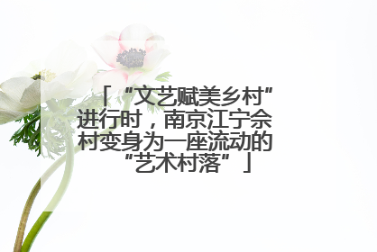 “文艺赋美乡村”进行时，南京江宁佘村变身为一座流动的“艺术村落”