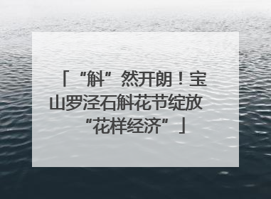 “斛”然开朗！宝山罗泾石斛花节绽放“花样经济”