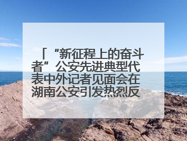 “新征程上的奋斗者”公安先进典型代表中外记者见面会在湖南公安引发热烈反响(二)