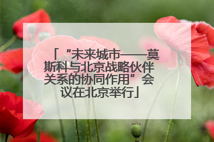 “未来城市——莫斯科与北京战略伙伴关系的协同作用”会议在北京举行