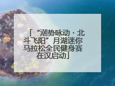 “潮势咏动・北斗飞阳”月湖迷你马拉松全民健身赛在汉启动