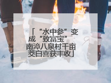 “水中参”变成“致富宝” 南漳八泉村千亩茭白喜获丰收