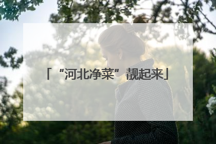 “河北净菜”靓起来