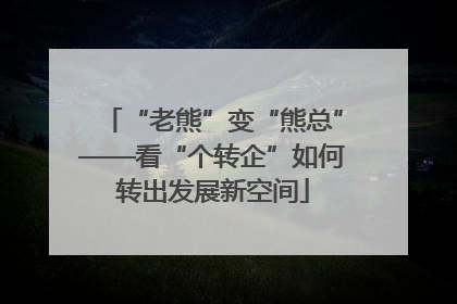 “老熊”变“熊总”——看“个转企”如何转出发展新空间