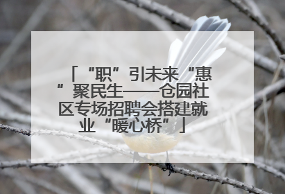 “职”引未来“惠”聚民生——仓园社区专场招聘会搭建就业“暖心桥”