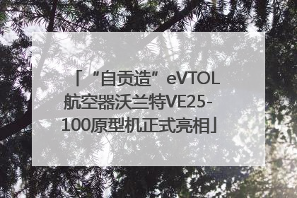 “自贡造”eVTOL航空器沃兰特VE25-100原型机正式亮相