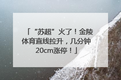 “苏超”火了！金陵体育直线拉升，几分钟20cm涨停！