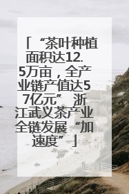 “茶叶种植面积达12.5万亩，全产业链产值达57亿元” 浙江武义茶产业全链发展“加速度”