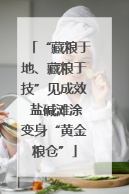 “藏粮于地、藏粮于技”见成效 盐碱滩涂变身“黄金粮仓”